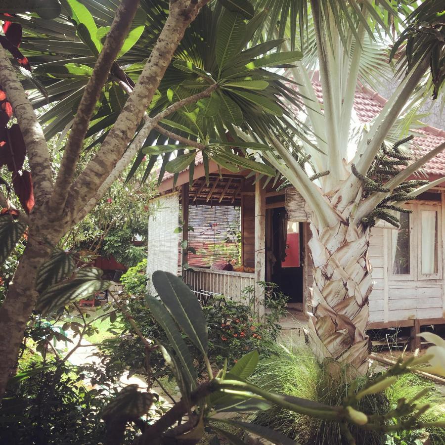 Harry'S Ocean House Pacitan Daire Dış mekan fotoğraf